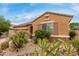 Well-maintained landscape with desert plants in front of home at 37161 W Giallo Ln, Maricopa, AZ 85138