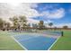 Well-maintained pickleball courts offer a fun and active community amenity for residents of all skill levels at 37161 W Giallo Ln, Maricopa, AZ 85138