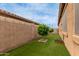 Artificial turf backyard with privacy block fence and young trees at 37161 W Giallo Ln, Maricopa, AZ 85138