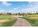 Picturesque golf course view with a pond, lush greenery, and blue skies, offering a serene and scenic backdrop at 4522 S Wildflower Pl, Chandler, AZ 85248