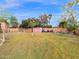 Spacious backyard with a large lawn, shed, and various trees, perfect for outdoor activities and gardening at 4582 S Wildflower Pl, Chandler, AZ 85248