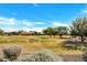 Open green space offering walking paths, mature trees, and inviting landscape at 5222 W El Cortez Trl, Phoenix, AZ 85083