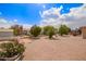 Expansive backyard with gravel, mature trees, and lush greenery; offers a serene outdoor setting at 5445 E Dallas St, Mesa, AZ 85205