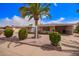 Well-maintained single-story home with desert landscaping, lush bushes, and a covered carport at 5445 E Dallas St, Mesa, AZ 85205