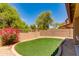 Large backyard featuring artificial grass, flowering shrubs, and lush mature trees at 6626 W Laurel Ave, Glendale, AZ 85304
