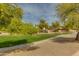 Lush greenbelt with mature trees and walking path offers a serene community setting and tranquil atmosphere for residents at 6626 W Laurel Ave, Glendale, AZ 85304