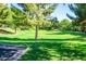 Lush green common area with mature trees and well-maintained lawn for outdoor recreation at 901 S Storment Ln, Gilbert, AZ 85296