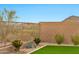 Beautiful backyard featuring a lush green lawn, desert plants, and a block wall for privacy at 17913 W Sunward Dr, Goodyear, AZ 85338