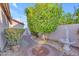 Tranquil backyard features a lemon tree, water feature, and charming pathway at 186 N Starboard Dr, Gilbert, AZ 85234