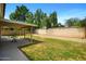View of backyard featuring a covered patio and mature shade trees at 1918 E Anchor Dr, Gilbert, AZ 85234