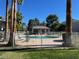 Fenced in community pool area, surrounded by tall palm trees at 19601 N 7Th N St # 1032, Phoenix, AZ 85024