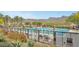 Fenced community pool featuring a lap lane, comfortable lounge chairs, and desert landscaping at 20373 W Coolidge St, Buckeye, AZ 85396