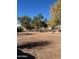 Expansive backyard space featuring desert landscaping, mature trees, and a lot of natural light at 22744 E Carla Vista Dr, Mesa, AZ 85212