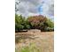 Beautiful backyard with a variety of trees, plants, and green grass at 22744 E Carla Vista Dr, Mesa, AZ 85212