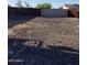 Large gravel backyard space featuring a secure perimeter fence for added privacy and security at 22744 E Carla Vista Dr, Mesa, AZ 85212