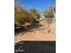 Expansive backyard featuring desert landscaping, mature trees, and a rustic fence line at 22744 E Carla Vista Dr, Mesa, AZ 85212