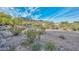 Scenic community landscape featuring desert foliage and mountain views under a bright blue sky at 27173 N 86Th Ave, Peoria, AZ 85383