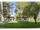 Well-maintained front lawn with mature trees, enhancing the curb appeal of the townhome community at 3324 S Juniper St, Tempe, AZ 85282