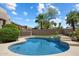 Beautiful kidney-shaped pool surrounded by desert landscaping, offering a private oasis for relaxation and enjoyment at 4817 E Cielo Grande Ave, Phoenix, AZ 85054