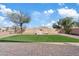 Spacious backyard with artificial turf, a playhouse, and mature trees at 5320 W Fawn Dr, Laveen, AZ 85339