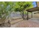 Picturesque backyard with brick accents, a mature orange tree, and a covered patio at 5358 S Farmer Ave, Tempe, AZ 85283