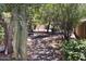 Lush backyard retreat with mature trees, desert landscaping, and a serene pathway at 7412 S Elm St, Tempe, AZ 85283