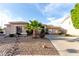 Charming single-story home features a well-manicured front yard with mature landscaping at 9908 E Medina Ave, Mesa, AZ 85209