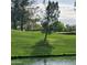 Scenic view of a lush green golf course featuring a pond and mature trees in a residential neighborhood at 9908 E Medina Ave, Mesa, AZ 85209