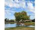 Peaceful view of a pond with a fountain on a golf course, surrounded by lush trees under a sunny sky at 9908 E Medina Ave, Mesa, AZ 85209