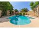 An expansive backyard with a sparkling pool and mature trees at 1114 W Meseto Ave, Mesa, AZ 85210
