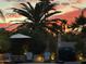 Backyard setting with palm trees, patio furniture, and a grill under a colorful sunset sky at 12749 E Poinsettia Dr, Scottsdale, AZ 85259