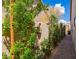 Charming side yard featuring lush greenery, climbing plants, and a stone pathway at 12749 E Poinsettia Dr, Scottsdale, AZ 85259