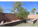 Landscaped backyard featuring a flourishing citrus tree and retaining wall planters, perfect for serene outdoor living at 16511 W Cortez St, Surprise, AZ 85388