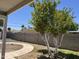 Landscaped backyard featuring a tree with a concrete path, grass and block wall at 299 N Comanche Dr, Chandler, AZ 85224