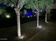 Backyard at night with grass and desert landscaping plus accent lighting on trees and along the wall at 4433 W Phalen Dr, Phoenix, AZ 85087
