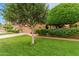 Lovely home with lush greenery, including a well-maintained lawn and mature trees at 9442 N 106Th Pl, Scottsdale, AZ 85258