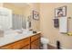 Well-lit bathroom with vanity, shower with curtains, and decorative wall art at 17704 W Tasha Dr, Surprise, AZ 85388