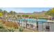 A fenced community pool with lap lanes, lounge chairs and umbrellas at 20775 W Rattler Rd, Buckeye, AZ 85396