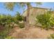 Spacious backyard featuring mature trees and gravel ground covering at 26473 W Runion Ln, Buckeye, AZ 85396