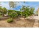 Charming backyard with lush trees, gravel ground covering, and a seating area at 26473 W Runion Ln, Buckeye, AZ 85396