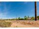 Street view of property with lush trees, green foliage, blue sky, and power lines at 4440 E Campbell Ave, Phoenix, AZ 85018