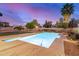 Inviting backyard pool with custom lighting, mature palm trees, and low-maintenance desert landscaping at 863 W Kiva Ave, Mesa, AZ 85210