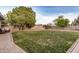 Large backyard with a grassy lawn, mature trees, and a block wall at 863 W Kiva Ave, Mesa, AZ 85210