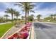 Community street view with palm trees, flowers, and landscaped grounds at 13204 W Via Dona Rd, Peoria, AZ 85383