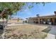 Spacious backyard featuring a patio, pool, lush lawn and an outdoor kitchen area at 3830 E Desert Cove Ave, Phoenix, AZ 85028