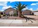 Charming single-story home featuring a well-maintained landscape with a distinctive palm tree and gravel yard at 43261 W Neely Dr, Maricopa, AZ 85138