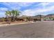 Charming single story home featuring desert landscaping, mature trees, and a two-car garage at 1403 W Wood Dr, Phoenix, AZ 85029