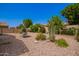 Lush backyard with gravel landscaping, mature trees and plants, and a cozy porch swing at 14390 W Desert Flower Dr, Goodyear, AZ 85395