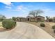 Attractive home with a circular driveway, mature desert landscaping, and an attached garage at 14539 W Becker Ln, Surprise, AZ 85379