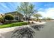 Beautiful single-story home with manicured front yard landscaping, a large tree, and a curved driveway at 23063 W Loma Linda Blvd, Buckeye, AZ 85326
